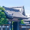 Фото профиля 星君摇光