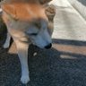 やま's profile picture