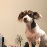 Jimmy profil fotoğrafı
