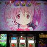 Фото профиля 🍷🍀🍭💮❄🕊⛩お殿‼️♦️🔫😈🍣🍺🌹🦭🍺🪼🍶@めぐー☺︎命名