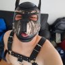 Cachorrito Argos profil fotoğrafı