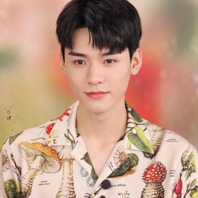 ShmilyMei's profile picture