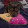 Profilbild von jake