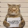 旅烏's profile picture