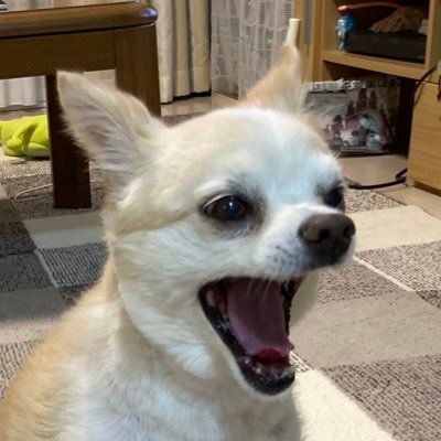 sorasora1793's profile picture