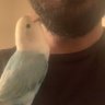 solis profil fotoğrafı