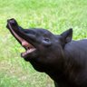 Luuk's profile picture