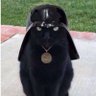 Black_Cat 的头像