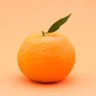 Profilbild von yume🍊