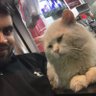 ھلالی's profile picture