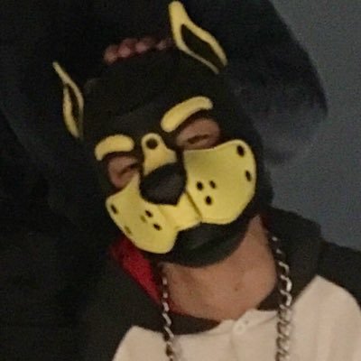 pupNeon19's profile picture