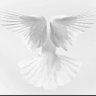 المستعان's profile picture