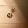 HERB NERD's profile picture