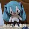 TeiFuu's profile picture