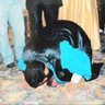 Фото профиля Dr Abdul Ghaffar ALazaizy