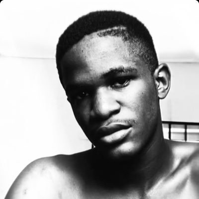 provii8's profile picture