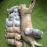 saraylı profil fotoğrafı