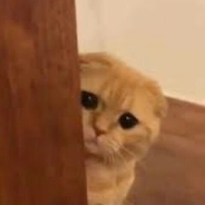 astrobort's profile picture