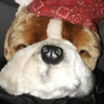 Bojanglesbojangles's profile picture