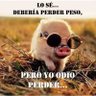 paco 的头像