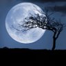 Luna azul profil fotoğrafı