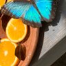 DA🌻 profil fotoğrafı