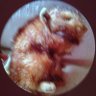 Joanne Brigden TLMN's profile picture