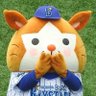 natsutoshin profil fotoğrafı