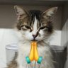 SKPH profil fotoğrafı