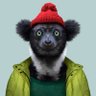 Profilbild von Yahav Gal