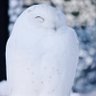 IFYW's profile picture