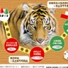 Фото профиля 桂樹