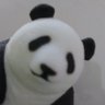 Profilbild von ぱんだら