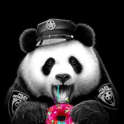 Panda_zxcvbnm's profile picture