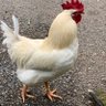 ☆セイジ☆ profil fotoğrafı