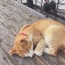 Фото профиля zzz