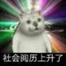 远古狩猎采集者 的头像
