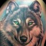 Profilbild von Wolf 55
