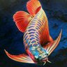 Fish1688 的头像