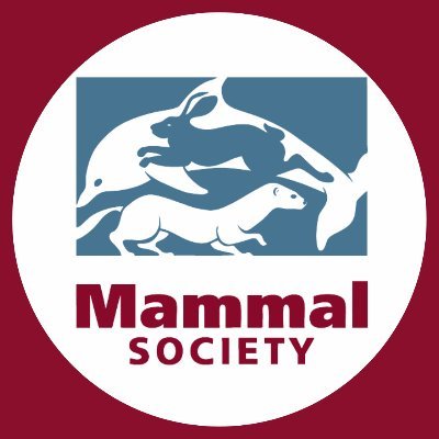 Mammal_Society's profile picture