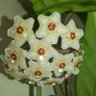 🪩Sara Al_zaibaq🎯's profile picture