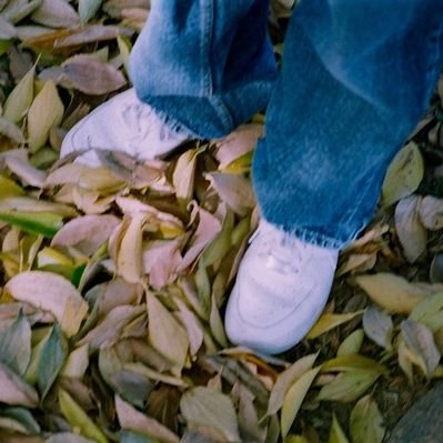 PruksaYaki's profile picture