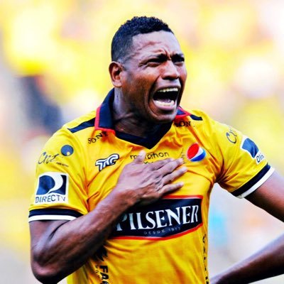 gordoluchismo's profile picture