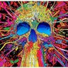 HODLFOMO's profile picture