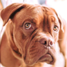 Profilbild von Aunna Inza