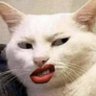 Profilbild von Le Commare