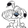 Idefix 🇮🇱🎗️'s profile picture