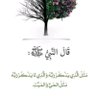 MBR.'s profile picture