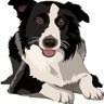 Profilbild von DD