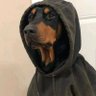 Zama Mazamani's profile picture